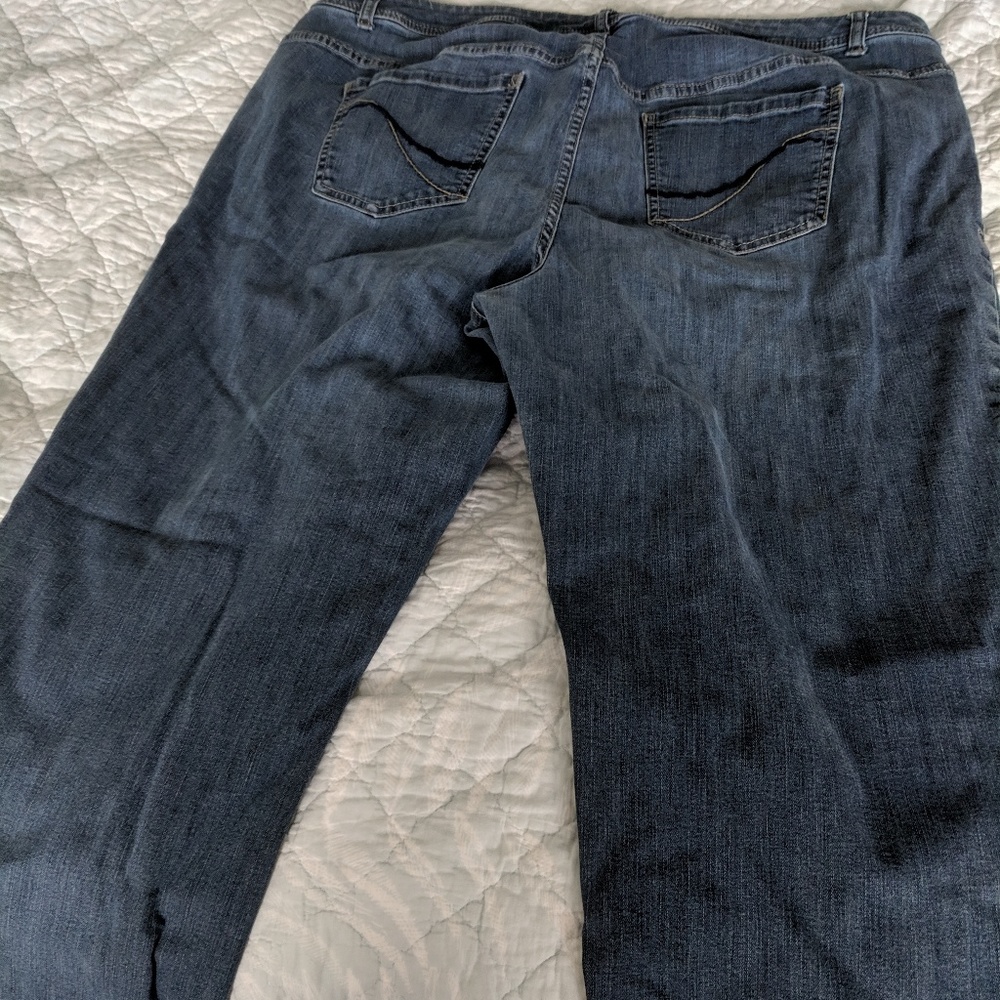 Lane Bryant Jeans